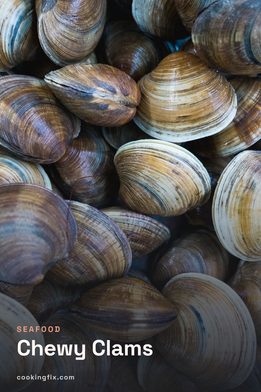 Chewy Clams