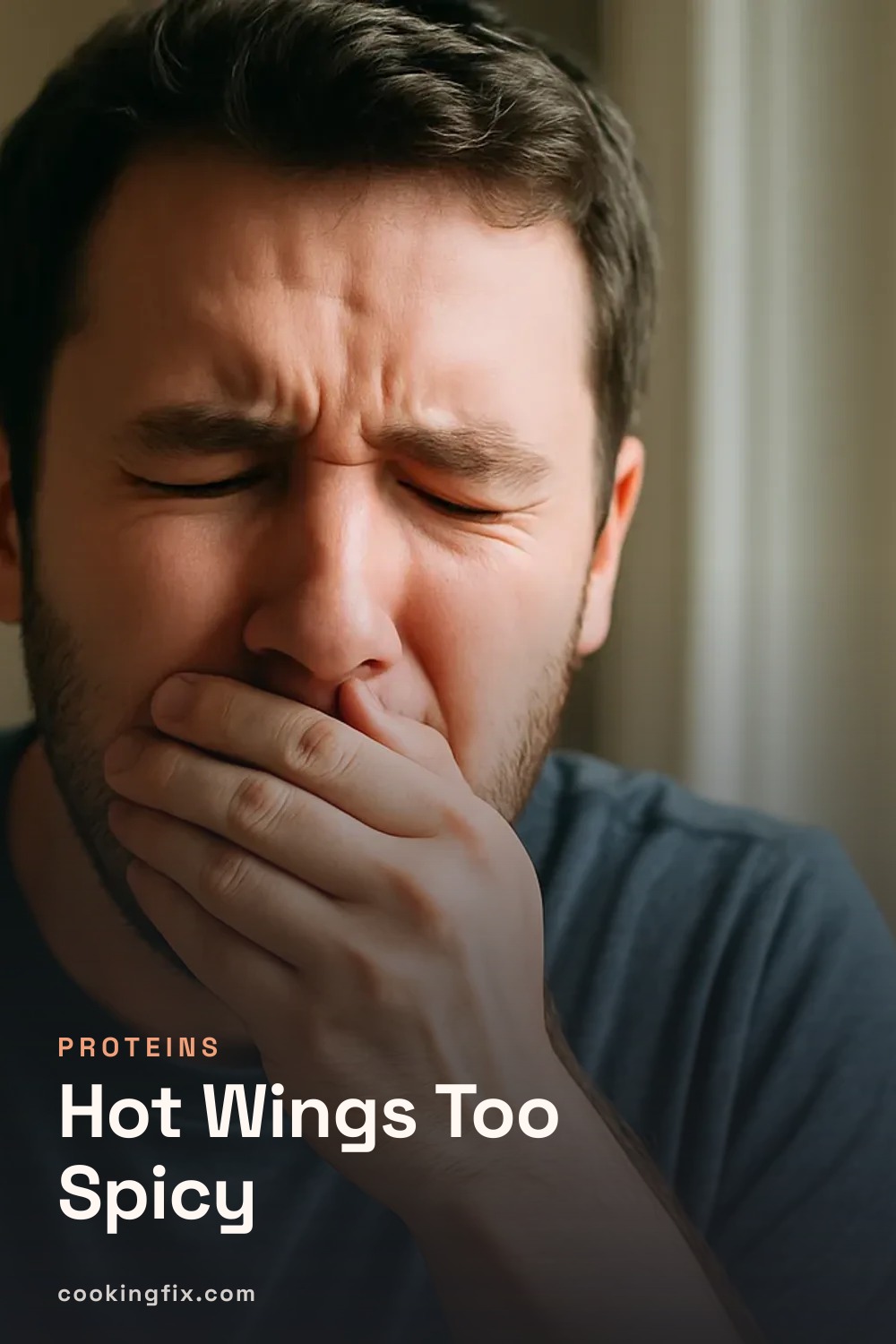 Hot Wings Too Spicy