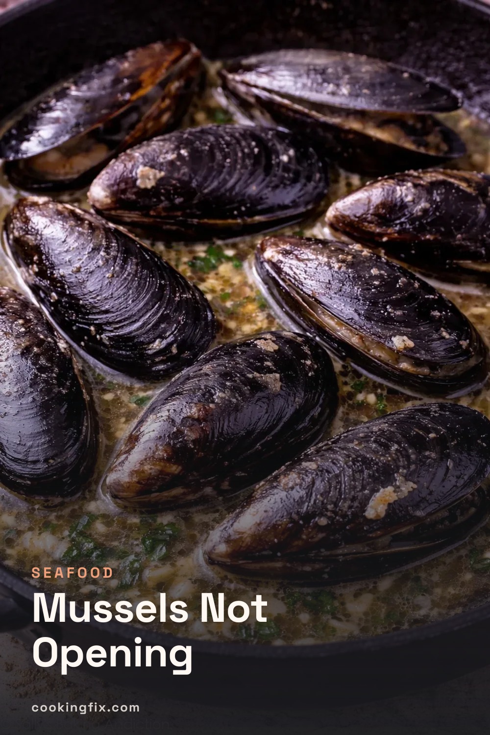 Mussels Not Opening