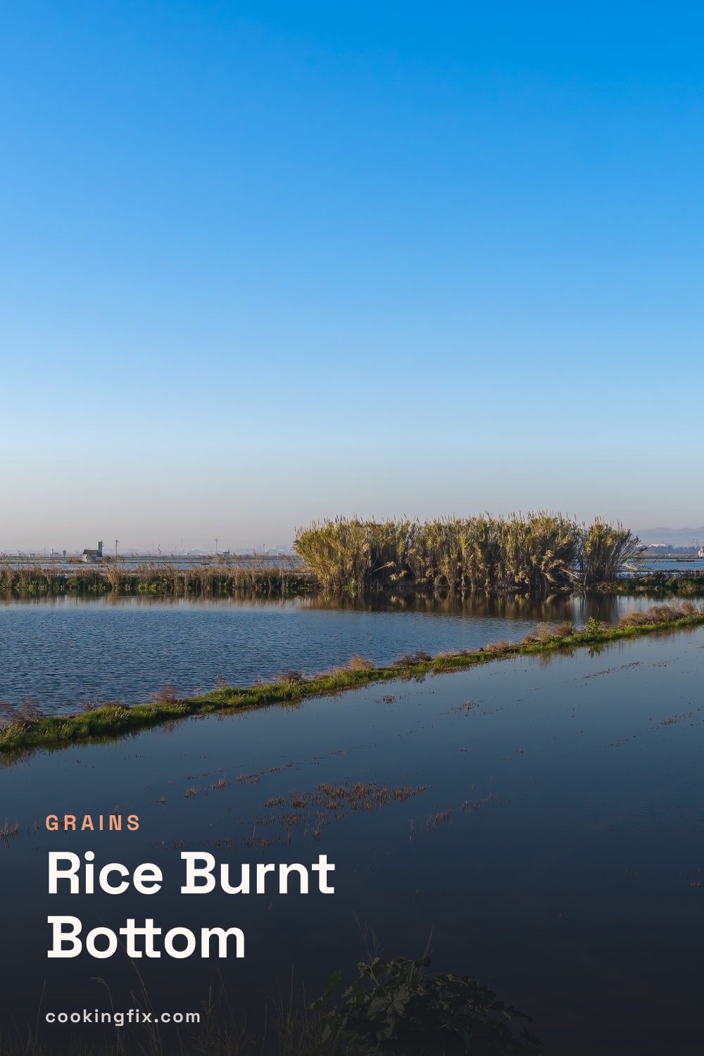 Rice Burnt Bottom