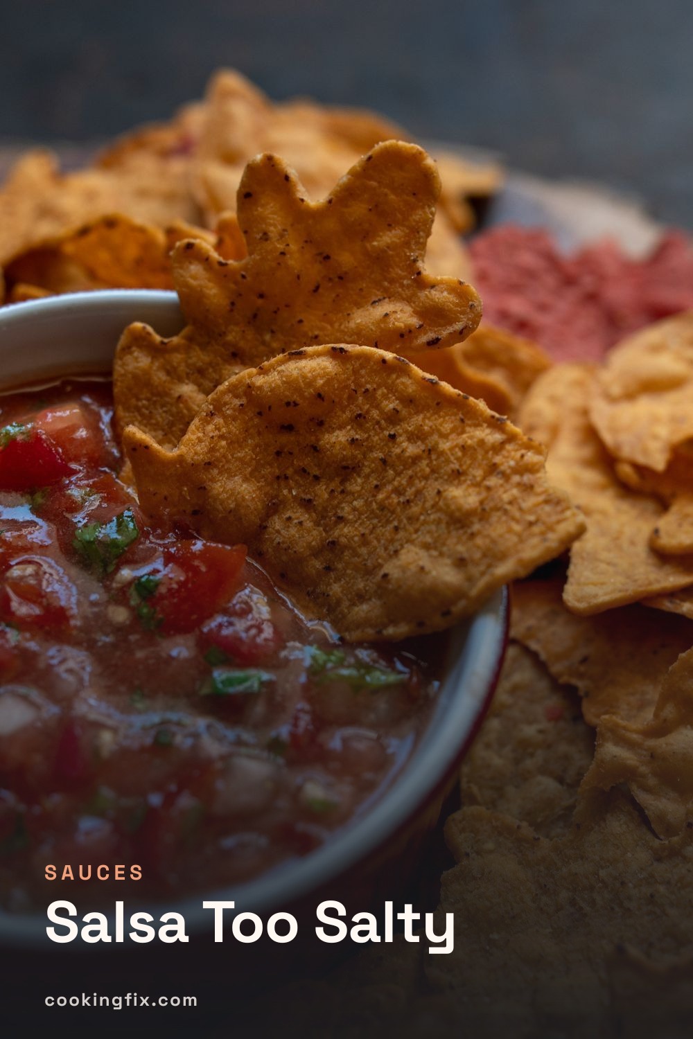Salsa Too Salty