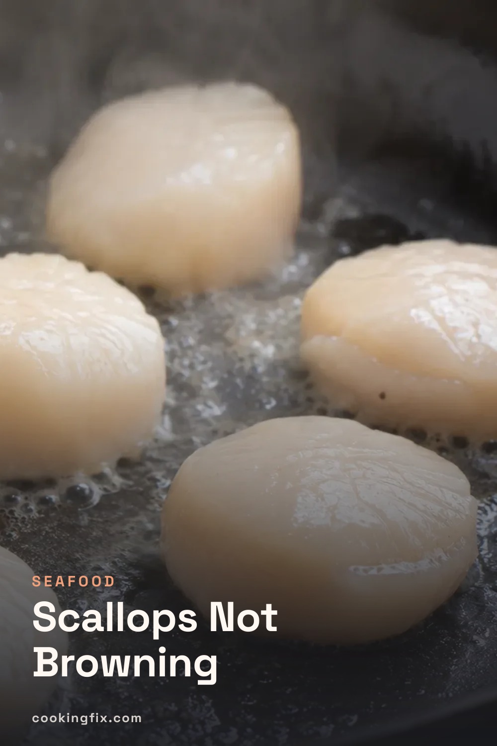 Scallops Not Browning