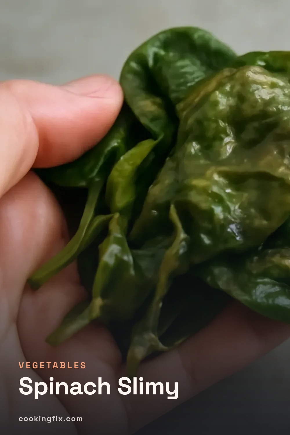Spinach Slimy
